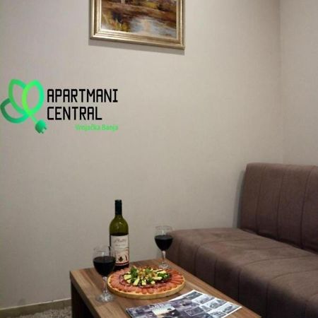 Apartmani Central 2.0 & Free Parking Vrnjačka Banja Zewnętrze zdjęcie